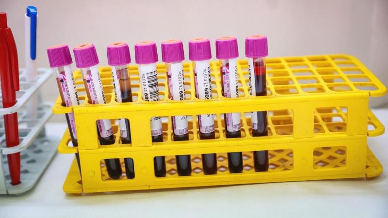 Vérfagyasztó események közelednek - ideje előkapni a dokumentumokat!