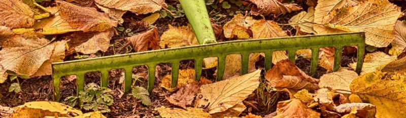 Őszi varázslatok - hogyan tehetjük jövőre kertünket még gazdagabbá és szebbé!