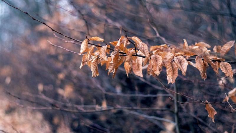 Erre bizony nem számítottunk – holnap váratlan fordulat következik be az időjárásban!