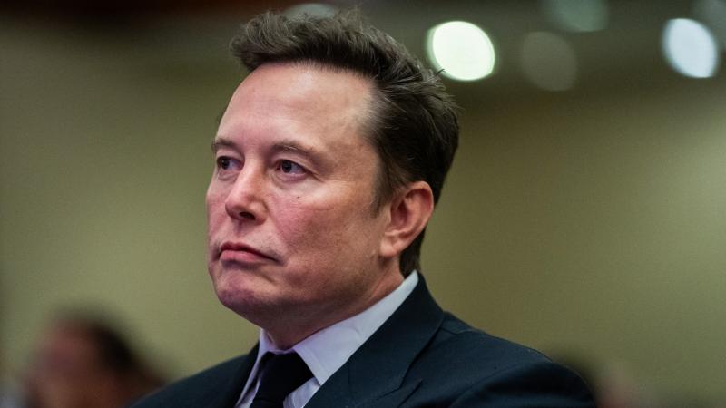 Elon Musk: Scholznak azonnal távoznia kell a posztjáról!