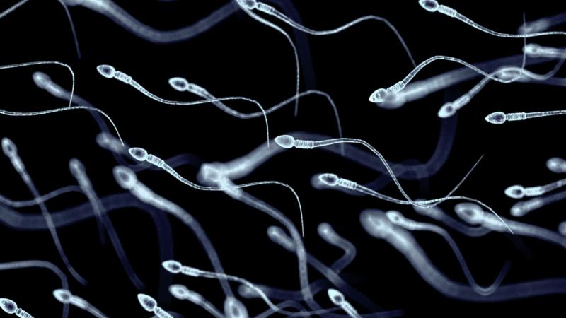 Az Európai Unió spermakorlátozást tervez bevezetni, mivel a válság egyre mélyebb dimenziókat ölt.