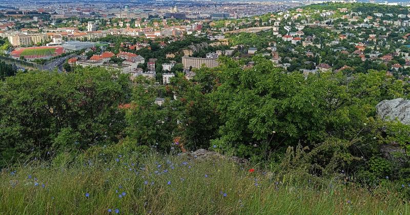 A tömegturizmus hatása a magyar természeti kincsekre egyre égetőbb problémává válik, amelyre dr. Kézdy Pál világított rá. A szakértő fontos kérdésekre irányítja a figyelmet, hangsúlyozva, hogy a természetvédelmi értékek megóvása érdekében sürgető lépésekr