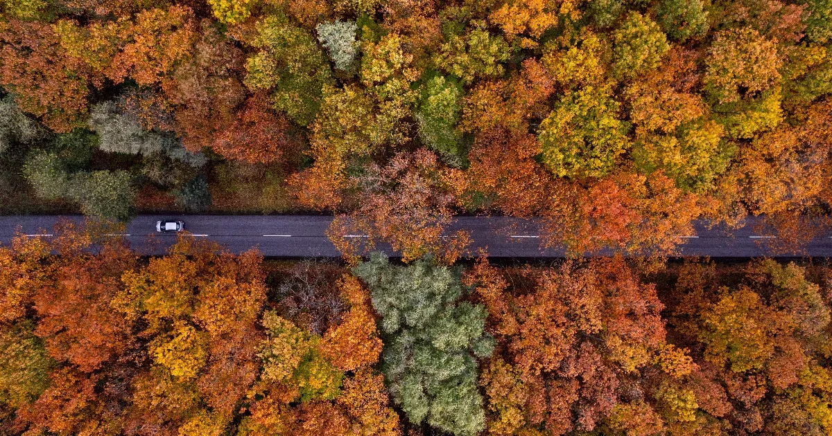 Bármi is történik most, napról napra egyre fényesebb jövő vár ránk.