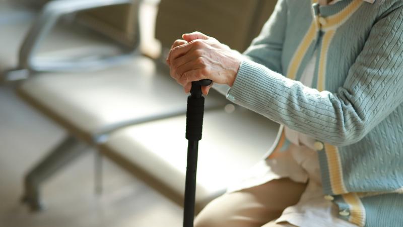 Felfedezésre került: az időskori szellemi hanyatlás megfékezésének titka – az étrend játssza a főszerepet.