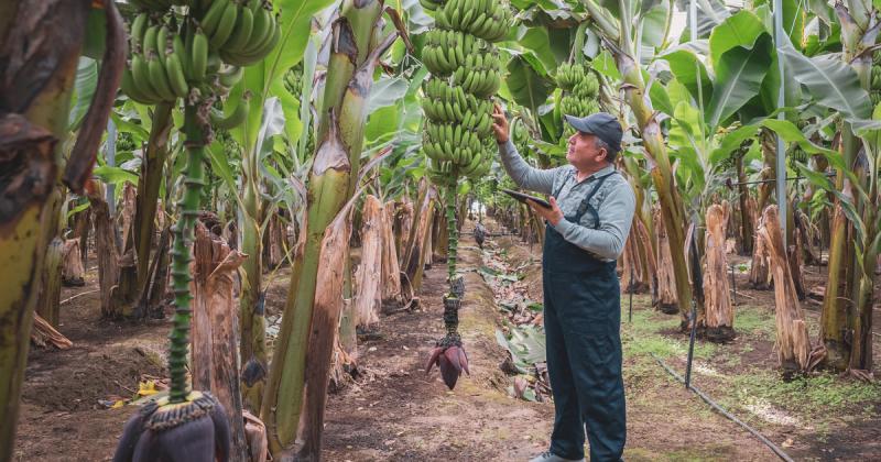 Elképesztő, ami Olaszországban zajlik most – jövőre akár te is részesévé válhatsz ennek a különleges élménynek!