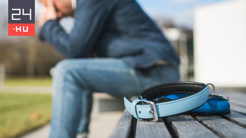 Öt évvel ezelőtt elvesztette a hűséges társát, és most, amikor végiglapozta a régi fényképeket, alig akarta elhinni, amit a szeme lát: mintha a múlt újraéledt volna.